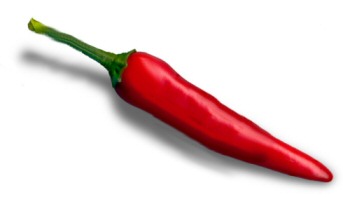 chilli