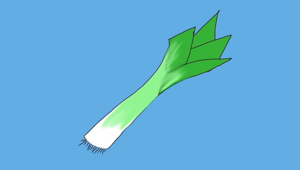 Leek
