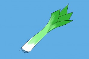 Alphabetical list of vegetables