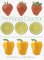 Books : The Food Doctor : Healing Foods for the Mind and Body