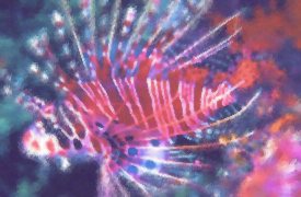 lionfish from hurghada